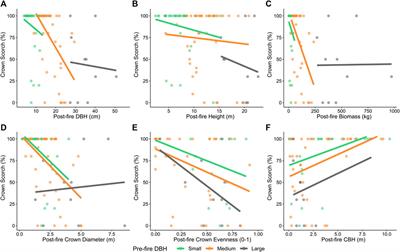 Assessing the effects of burn severity on post-fire tree structures using the fused drone and mobile laser scanning point clouds